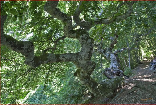 Presentate a Rieti le iniziative estive “Lungo il Cammino di Francesco”