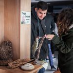 Cinema_Storia – Sabaudia 2-11