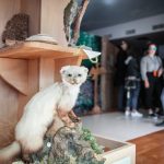 Cinema_Storia – Sabaudia 2-12