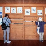 Cinema_Storia – Sabaudia 2-21