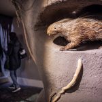 Cinema_Storia – Sabaudia 2-22