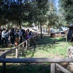 Cinema_Storia – Sabaudia 2-25