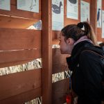 Cinema_Storia – Sabaudia 2-5