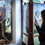 Cinema_Storia – Sabaudia 2-6