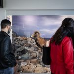 Cinema_Storia – Sabaudia 2-7