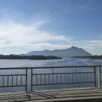 b1b5752a-4d26-425c-af20-4651a84fe30e