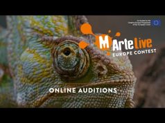Grande successo per il concorso MArteLive